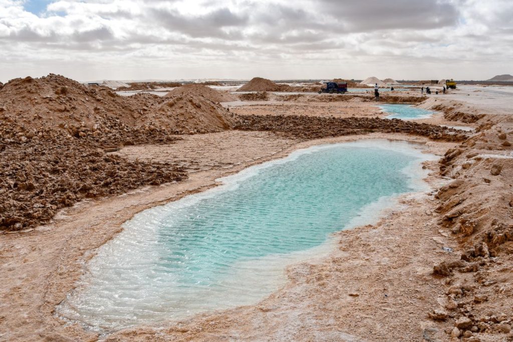 oasis de siwa