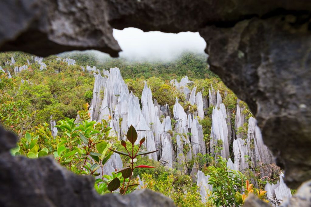 rochers du parc de gunung mulu