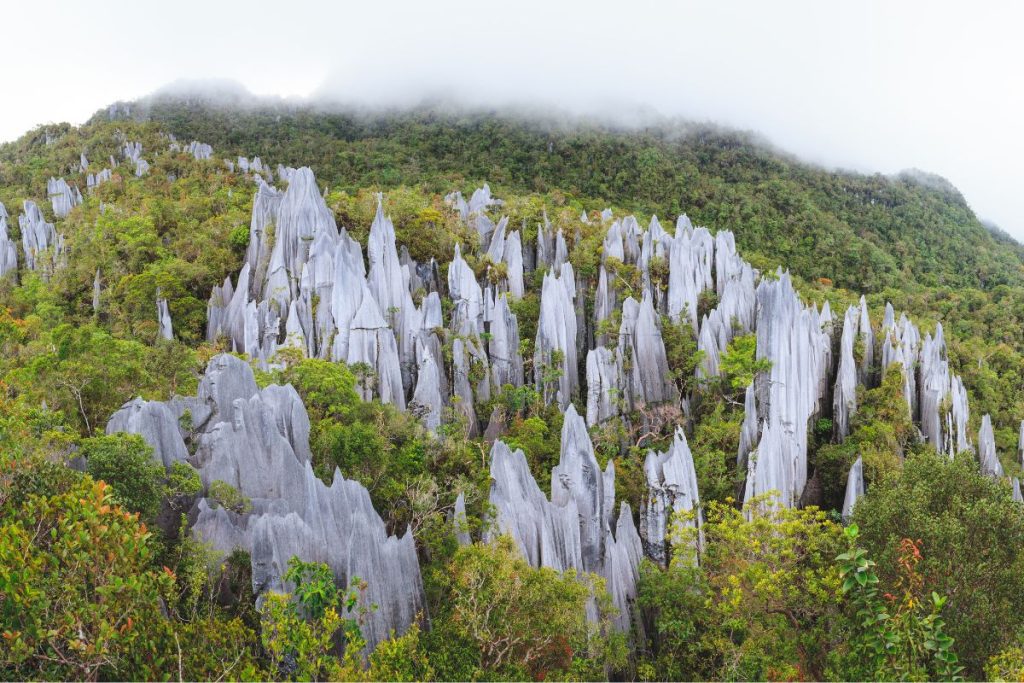 rochers du parc de gunung mulu