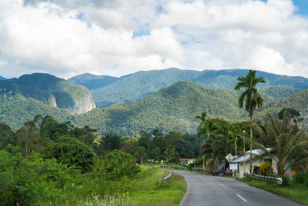 foret du parc de munung gulu