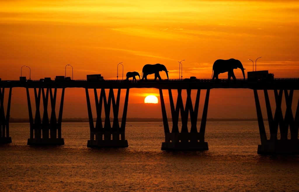 lac maracaibo au venezuela