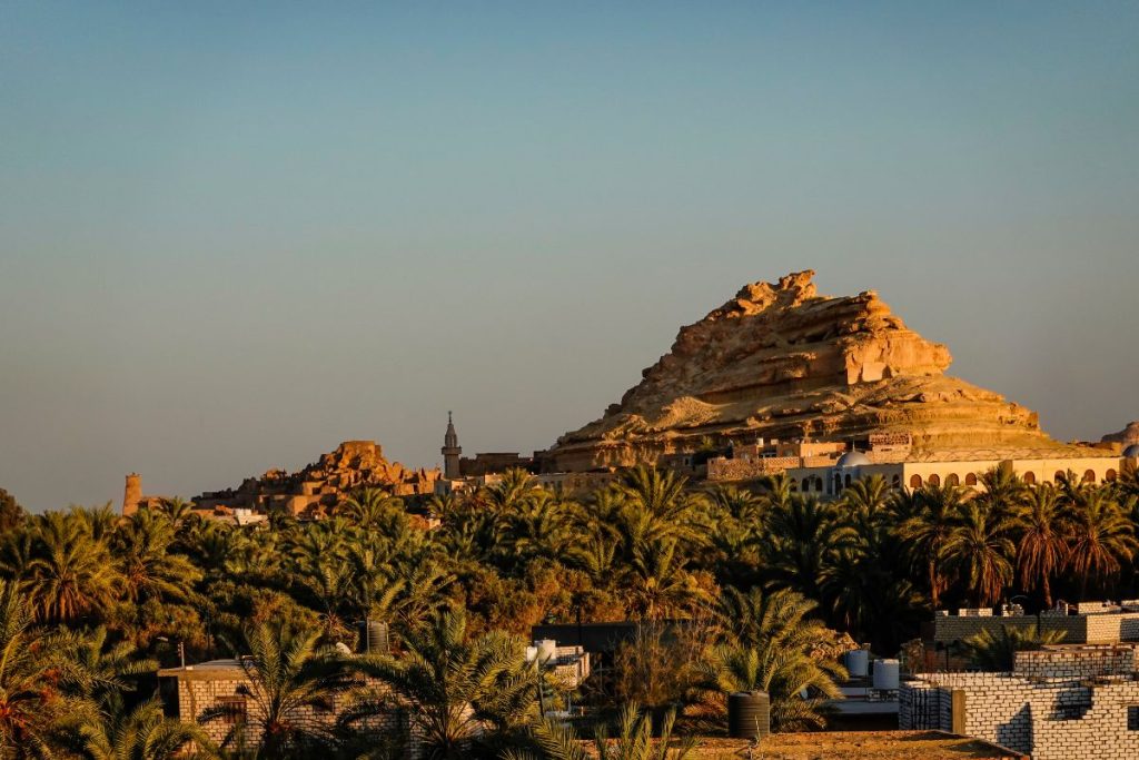 vue sur l'oasis de siwa