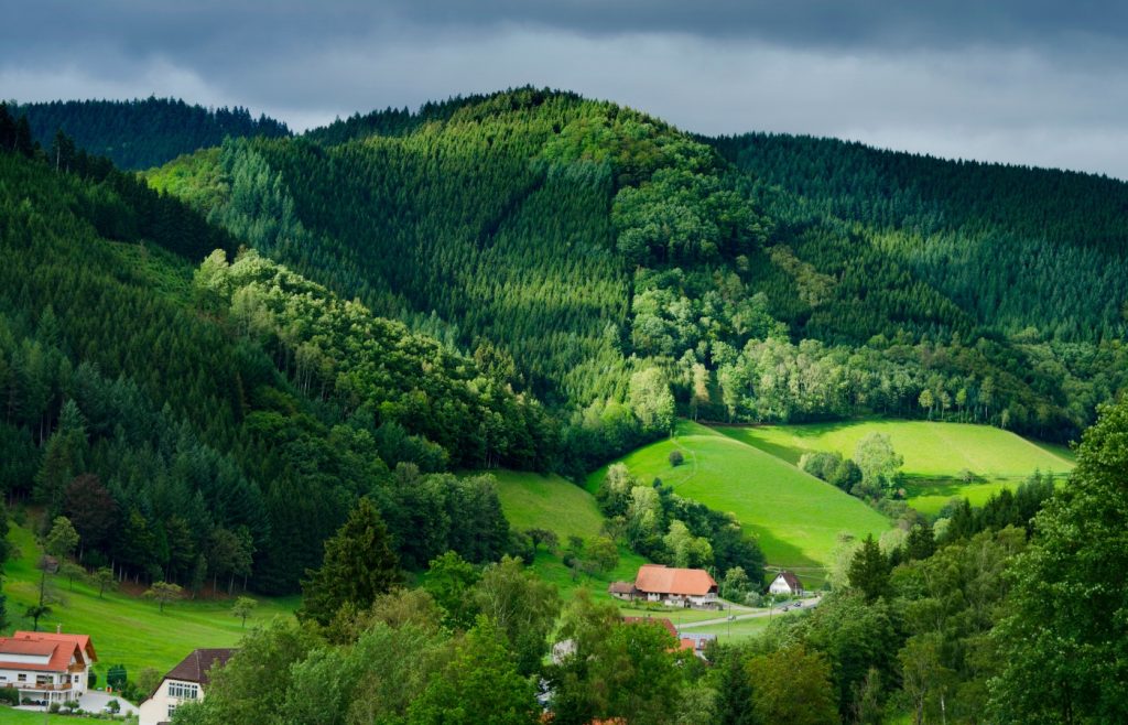 Forêt Noire en allemagne