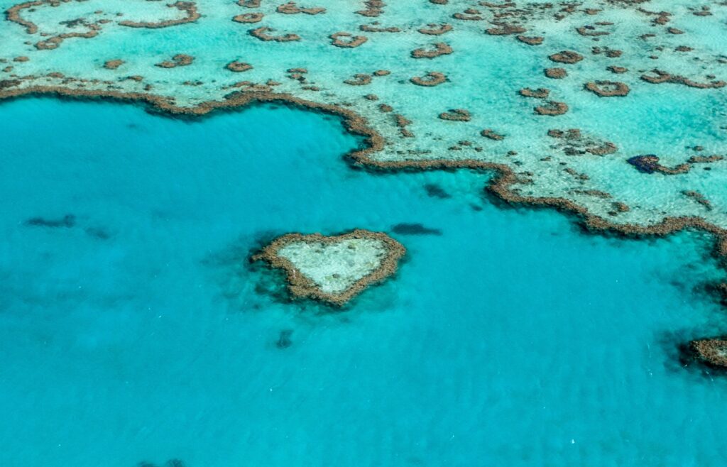 Passionné de faune sous-marine ? Découvrez les 4 plus belles barrières de corail du monde !